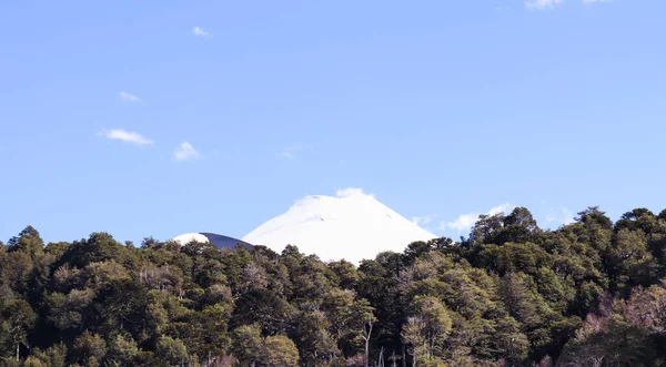 Bir orman üzerindeki Llaima volkanı manzarası.