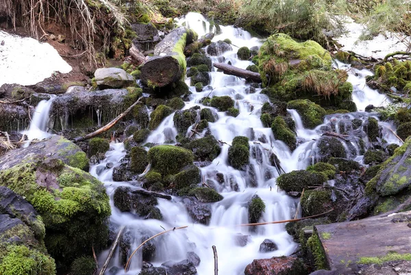 Şili ormanında küçük bir şelale 