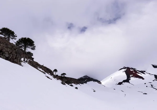 Заснеженная Гора Южном Чиле — стоковое фото