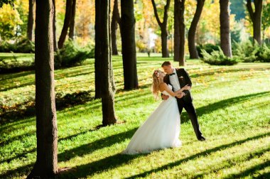 Gençlik ve gölge ağaçları