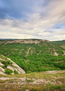 güzel dağ manzarası. doğanın kompozisyon