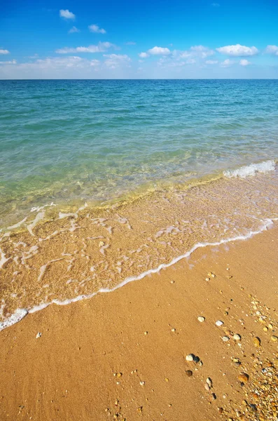 Hermosa costa del mar verano — Foto de Stock