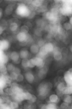 siyah ve beyaz bokeh arka plan. tasarım öğesi.
