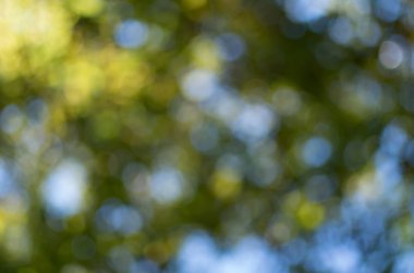 Bokeh geçmişi. Tasarım elementi.