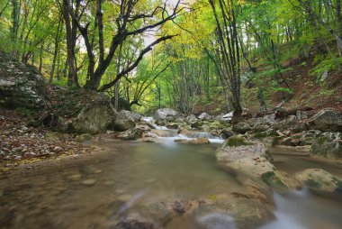 sonbahar manzarası. doğanın bir kompozisyon. nehir kanyonun içine.