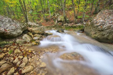 sonbahar manzarası. doğanın bir kompozisyon. nehir kanyonun içine.