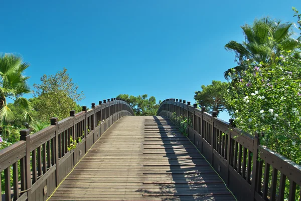 Bridge leading into the park — Stock Photo, Image