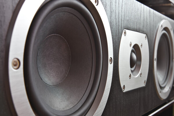 центральный спикер крупный план
. 