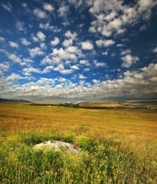 Dağdaki yeşil çayır. Doğanın bileşimi.
