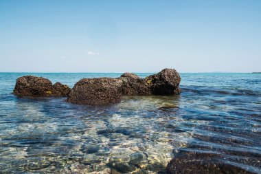 Deniz kıyı ile temiz su ve kayalar, deniz manzarası