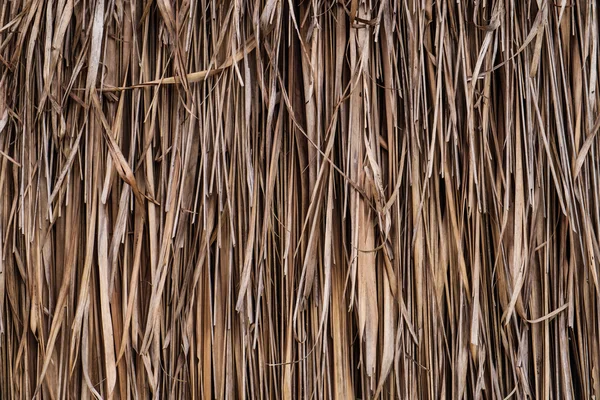 Vecchio paglia secca palma texture — Foto Stock