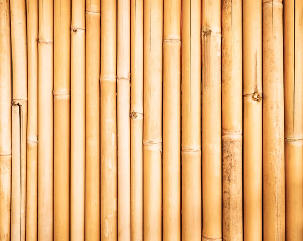 Yellow bamboo fence texture — Stock Photo, Image