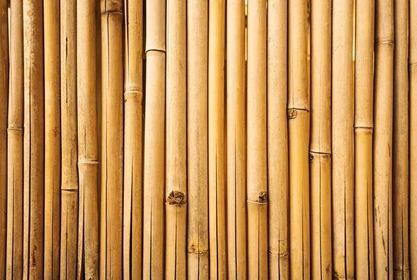 Yellow bamboo fence texture — Stock Photo, Image