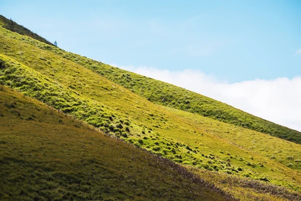 Zelené kopce svahu krajina s modrou oblohou — Stock fotografie