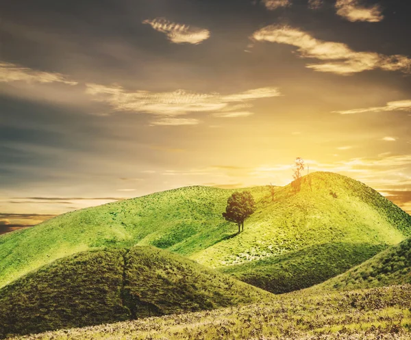 日没で青空と草原の丘 — ストック写真
