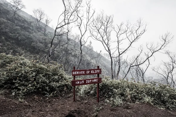 Árvores mortas em ambiente tóxico, com cuidado com a placa de sinalização de Cliff e ambiente nebuloso — Fotografia de Stock