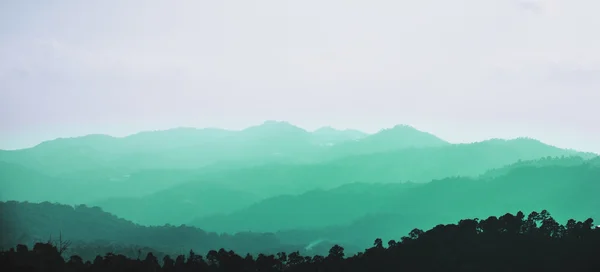 Panoráma, hegy gerincén silhouette erdővel, az előtérben. Háttér ridge, a fenyő erdő az előtérben, és a réteg a hegyekben — Stock Fotó