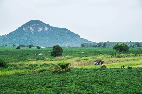Campo verde y montaña en la Tailandia rural —  Fotos de Stock