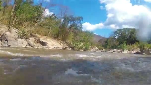 Slangen på ett berg river8 — Stockvideo