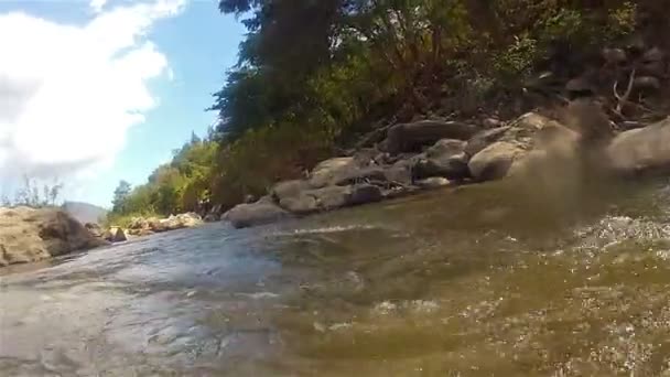Tubería en un río de montaña13 — Vídeo de stock