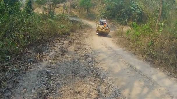 Tre uomini che cavalcano un trattore nella giungla — Video Stock