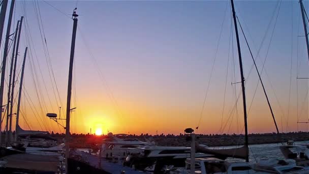 Boten in de jachthaven van sunset8 — Stockvideo