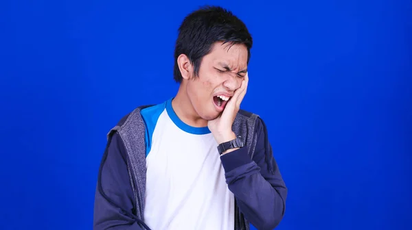 Asiático Hombre Usando Chaqueta Dolor Muelas Aislado Azul Fondo —  Fotos de Stock