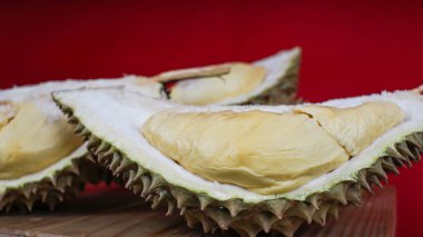 Durian meyvesi. Olgun durian izole edilmiş kırmızı arkaplan