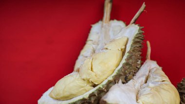 Durian meyvesi. Olgun durian izole edilmiş kırmızı arkaplan