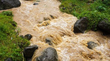Pirinç tarlaları arasında kirli suyla nehir