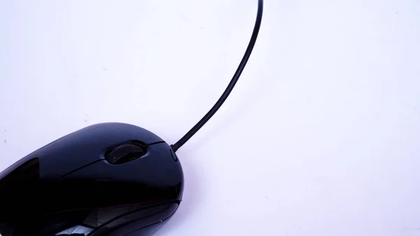 black mouse isolated white background