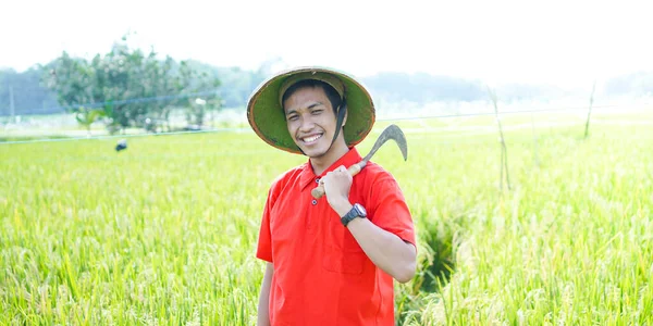 Asiatischer Junger Mann Bauer Lächelt Auf Reisfeld — Stockfoto