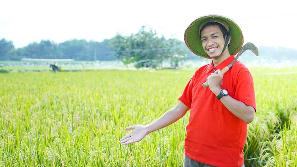 Asijský Mladý Muž Sedlák Úsměv Rýžovém Poli — Stock fotografie