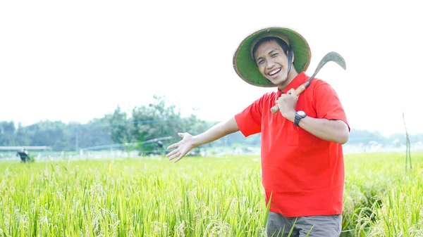 Asiatisk Ung Man Bonde Man Leende Risfält — Stockfoto