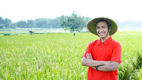 Азіатський Молодий Чоловік Фермер Посміхається Рисовому Полі — стокове фото