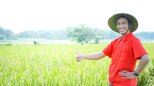 Asiático Jovem Homem Agricultor Homem Sorriso Campo Arroz — Fotografia de Stock