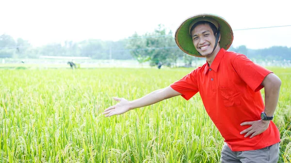 Asijský Mladý Muž Sedlák Úsměv Rýžovém Poli — Stock fotografie