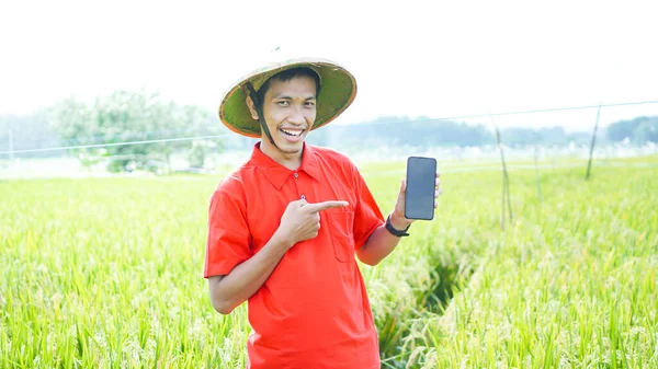 Asijský Mladý Muž Farmář Muž Držící Prázdný Displej Telefonu Rýžovém — Stock fotografie