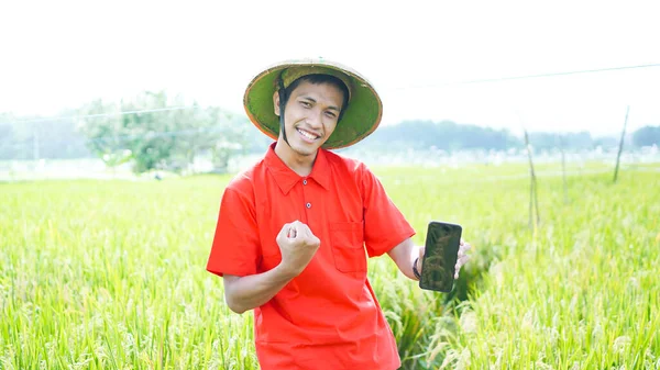 Asian Young Man Farmer Man Holding Blank Screen Phone Rice — Stock Photo, Image