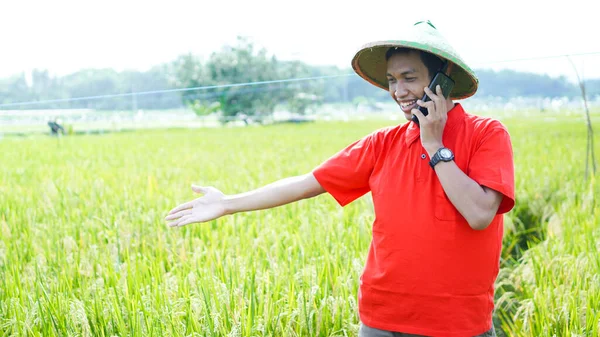 Asijský Mladý Muž Farmář Muž Volá Telefon Rýžovém Poli — Stock fotografie