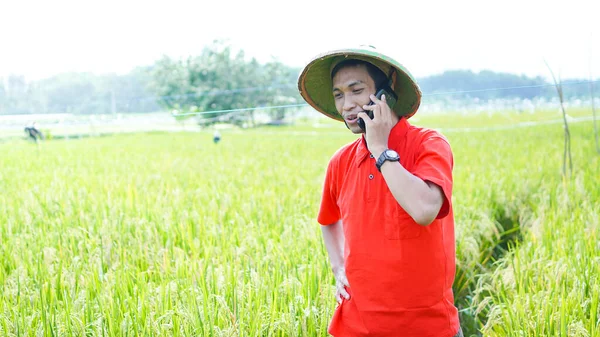 asian young man, farmer man calling phone at rice field