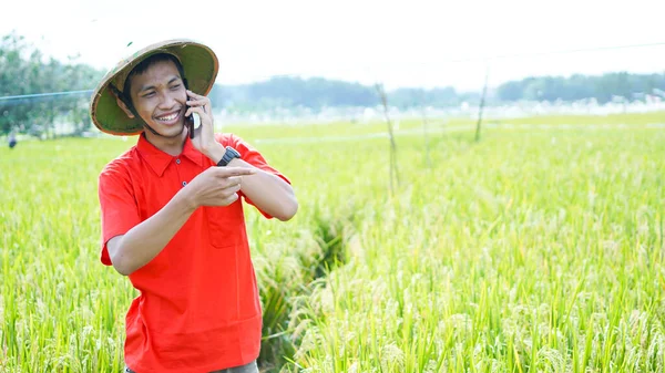 Asijský Mladý Muž Farmář Muž Volá Telefon Rýžovém Poli — Stock fotografie