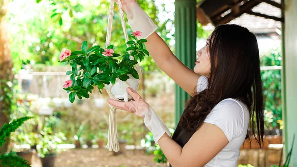 Aziatische Vrouw Opknoping Planten Thuis Maken Mooie Decoratie — Stockfoto