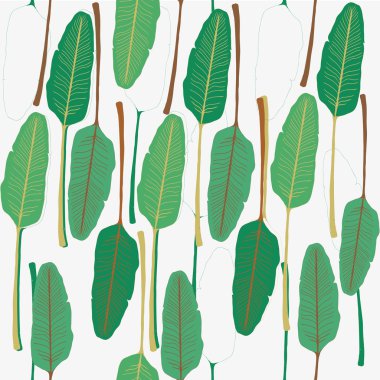 muz yaprağı deseni