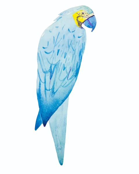 コンゴウインコ鳥水彩画 — ストックベクタ