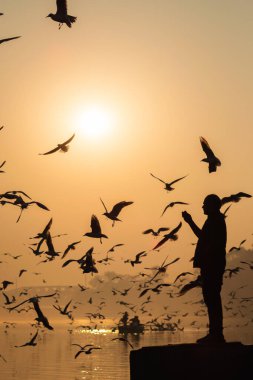 Delhi 'deki Yamuna Ghat' a tipik bir gündoğumu böyle bakar. .