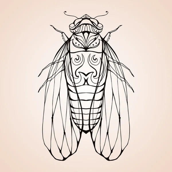 Illustration cicada  with boho pattern — Stock Vector