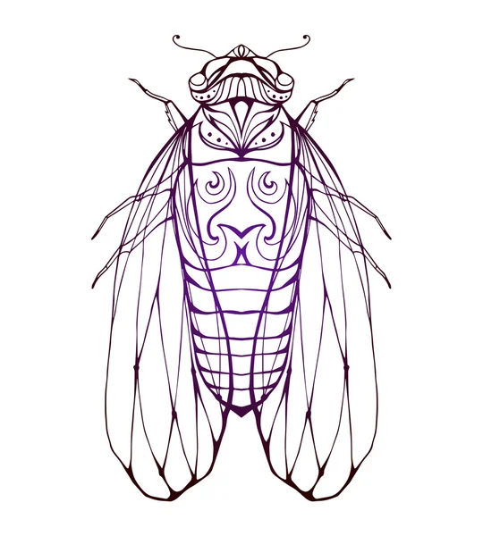 Illustrazione cicada con motivo boho . — Vettoriale Stock