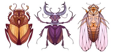 Böcek tribal desenli renk ayarla 