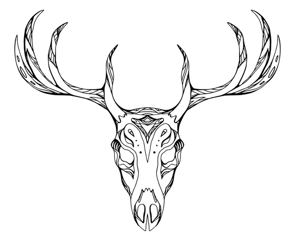 Deer skull with antlers — Stock Vector